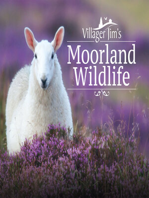 cover image of Villager Jim's Moorland Wildlife
